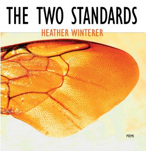 The Two Standards