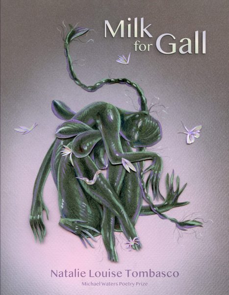 Milk for Gall